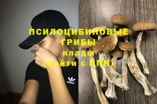 спайс Абдулино