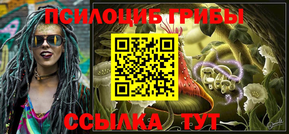 Галлюциногенные грибы Magic Shrooms Владимир