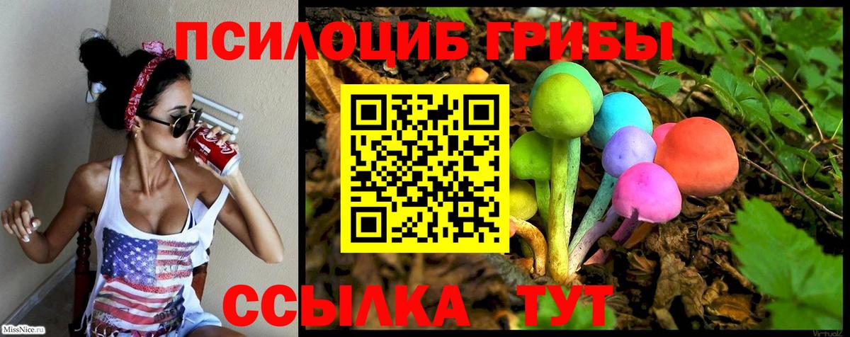 Владимир  Псилоцибиновые грибы Magic Shrooms  Псилоцибиновые грибы MAGIC MUSHROOMS  Вход с VPN 
